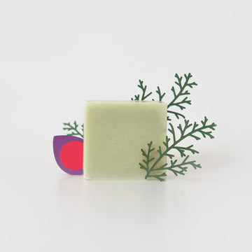 Perfumed soap | Fig + cypress