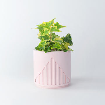 Pot à plantes | Brut - Rose