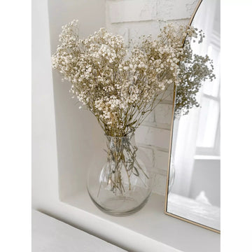 Natural Preserved Baby’s Breath